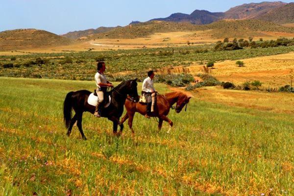 Casa Appaloosa Cabo De Gata Διαμέρισμα Rodalquilar Εξωτερικό φωτογραφία